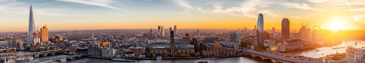 London Skyline William Martin