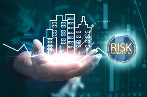 risk management software